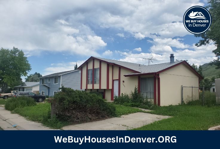 we bought this house