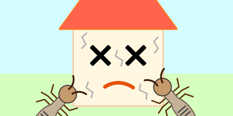 How to Sell a Home With Termites