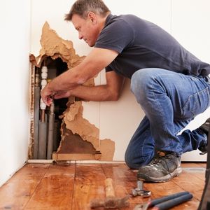 Essential Repairs and Renovations
