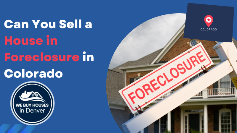 Can You Sell A House In Foreclosure In Colorada Can You Sell A House In Foreclosure In Colorada